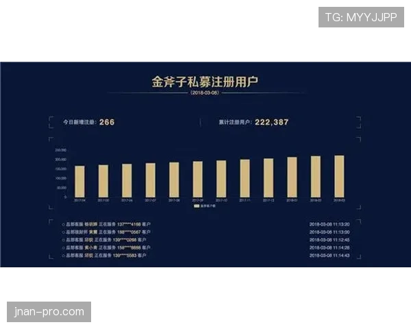 赖斯如何从铁锤帮队长蜕变为亿元先生：成长路径与价值跃升解析